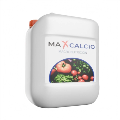 maxCalcio