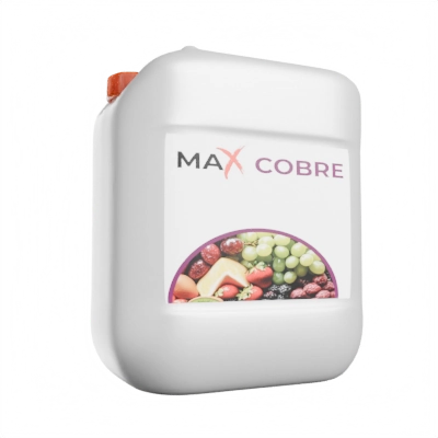 maxMicros