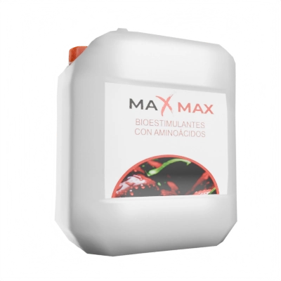 maxMax