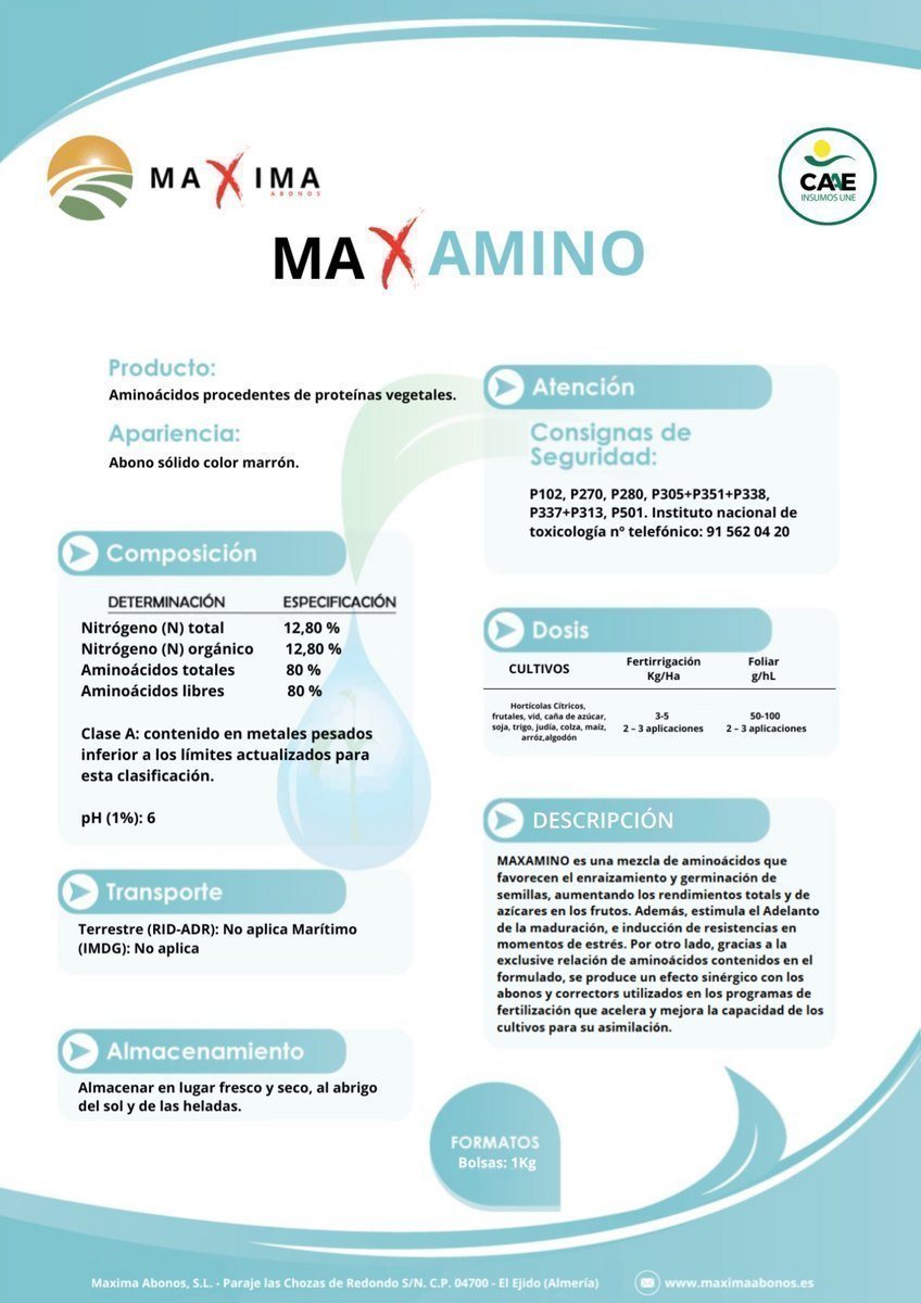 MAXAMINO